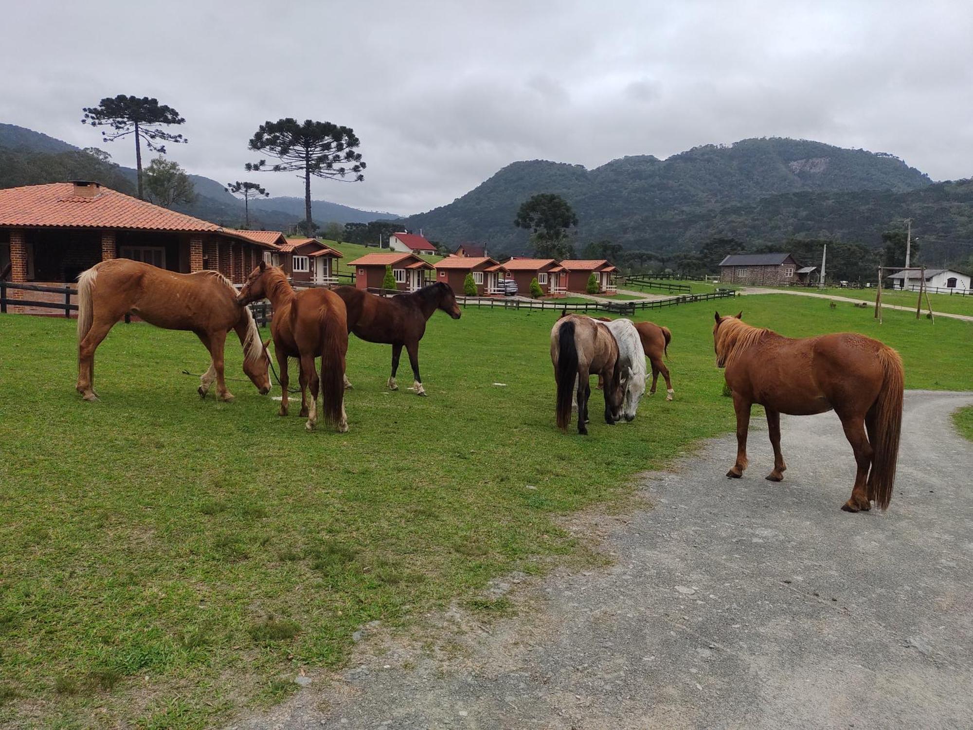 Sitio Rancho Crioulo Hotel Urubici Eksteriør billede