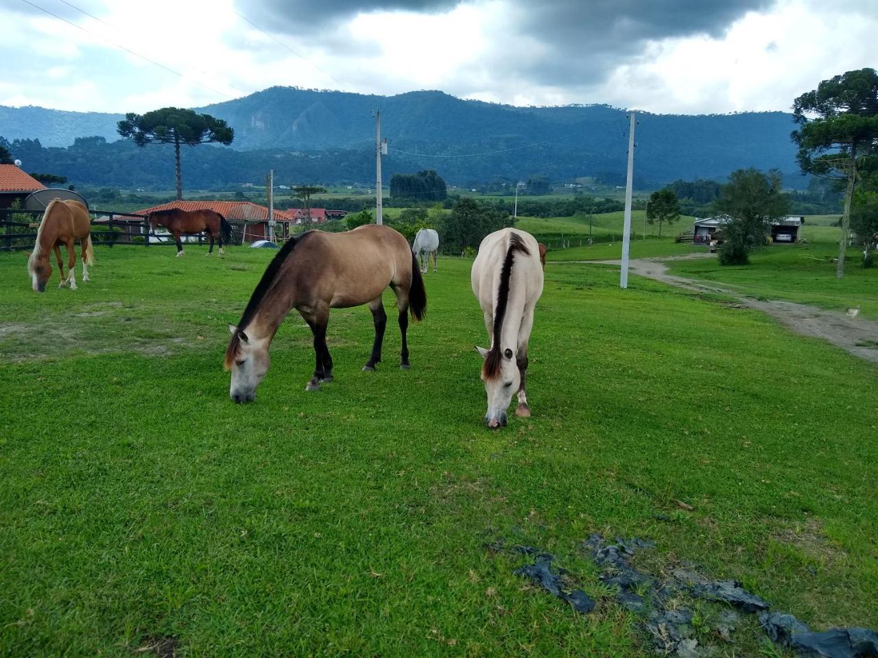 Sitio Rancho Crioulo Hotel Urubici Eksteriør billede