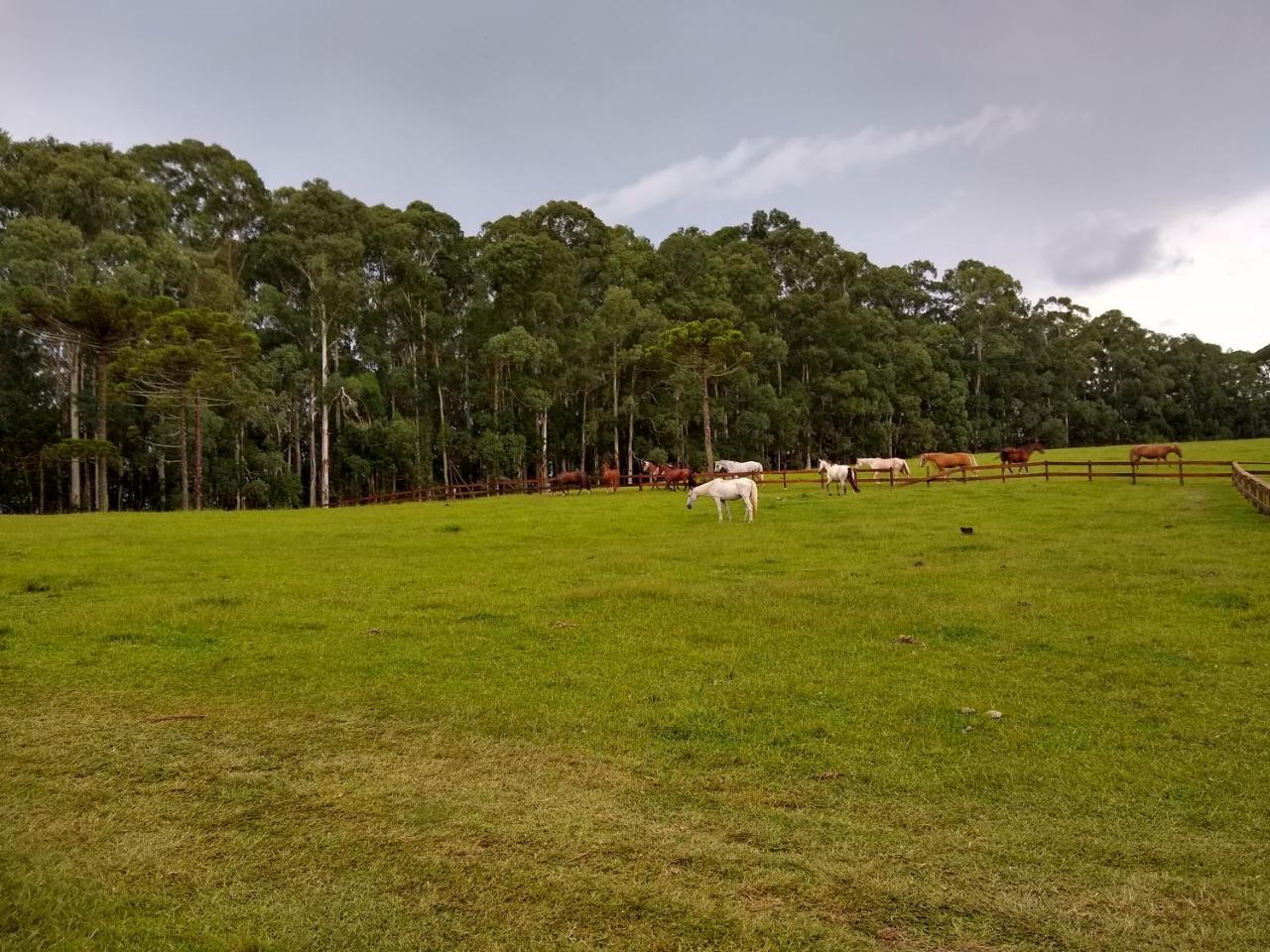 Sitio Rancho Crioulo Hotel Urubici Eksteriør billede